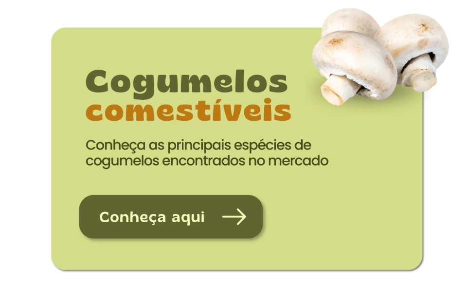 Cogumelos Comestíveis